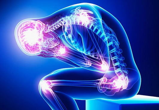 THE OSTEO – PHYSIO CLINIC